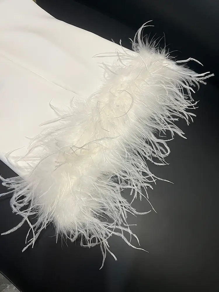 The Smith Feather Trim Tank